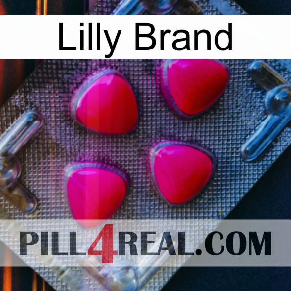 Lilly Brand 13.jpg